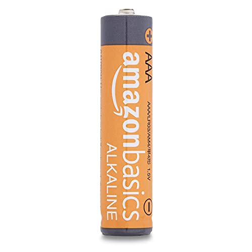 Basics 100 Pack AAA High-Performance Alkaline Batteries, 10-Yea –  Wolf in Progress